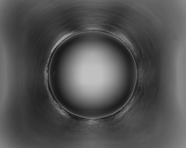X0000088460814200705221341