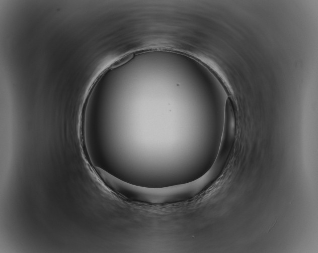 X0000088460815200705221341