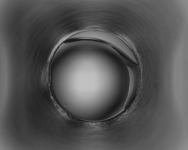 X0000088460816200705221341