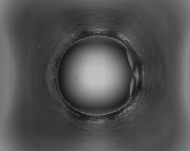 X0000088460817200705221341
