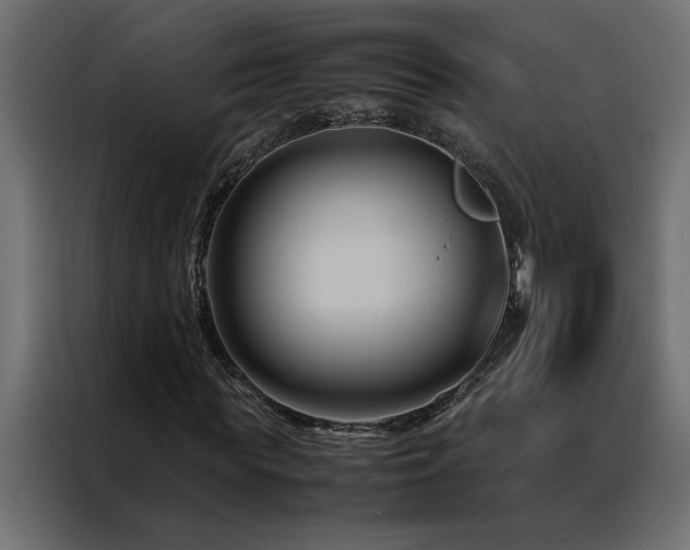 X0000088460819200705221341