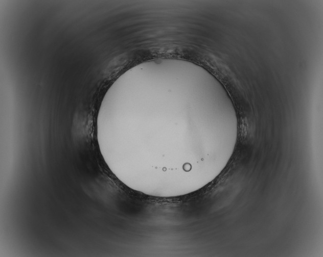 X0000088460820200705221341