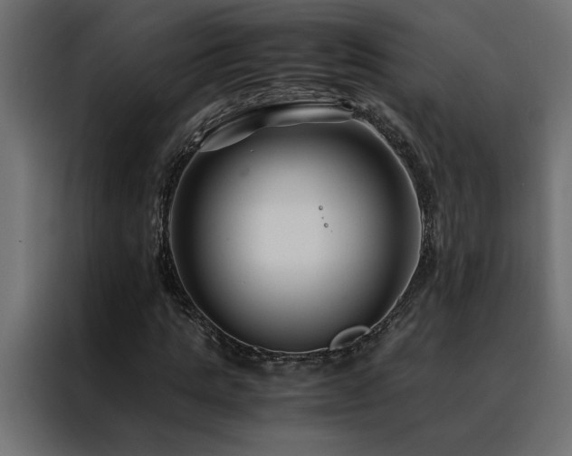 X0000088460821200705221341