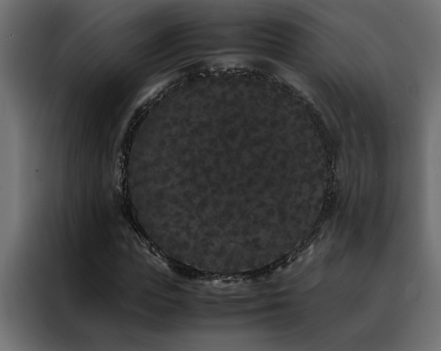 X0000088460823200705221341