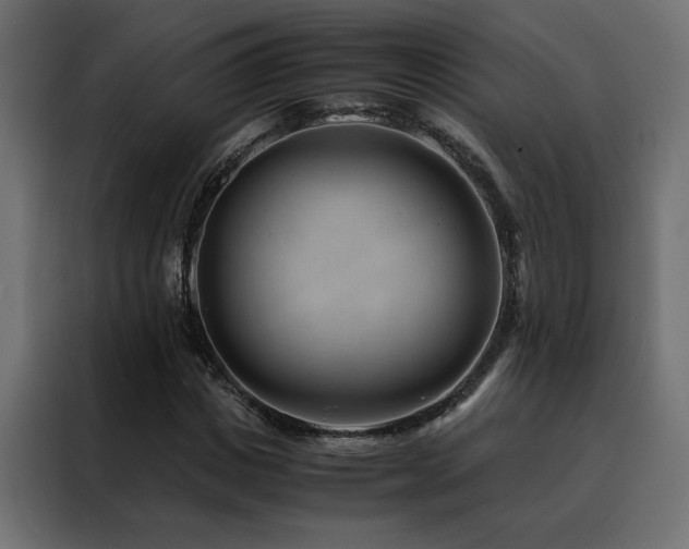 X0000088460825200705221341