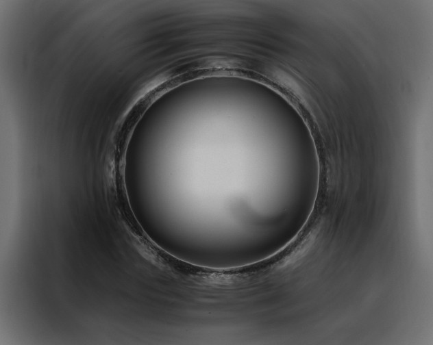 X0000088460827200705221341