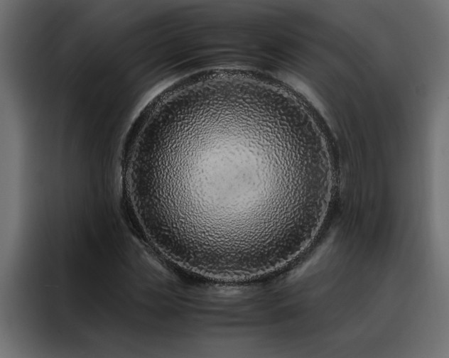 X0000088460829200705221341