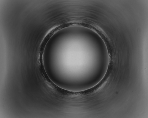 X0000088460830200705221341
