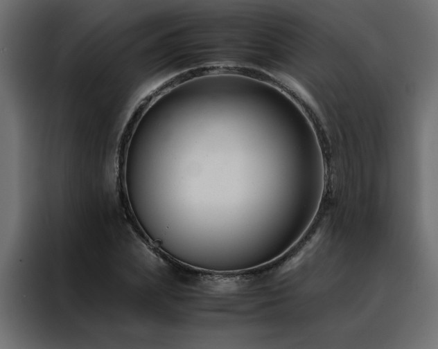 X0000088460831200705221341