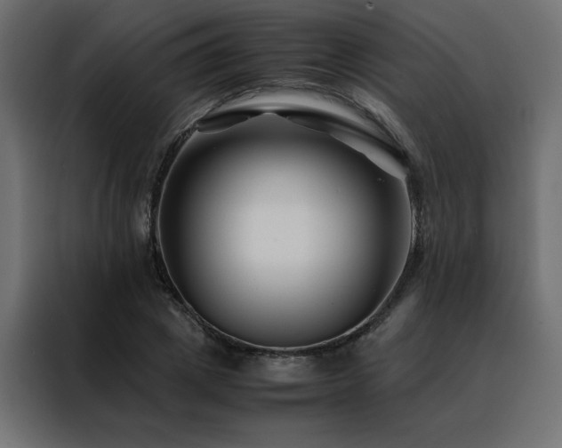 X0000088460833200705221341