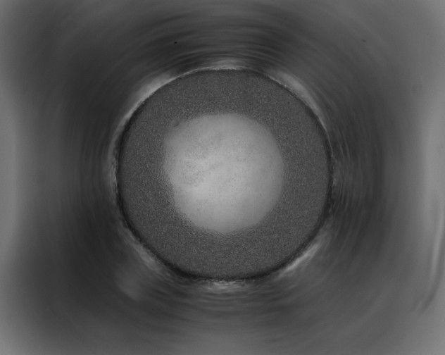 X0000088460835200705221341