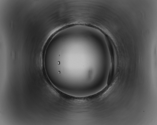 X0000088460838200705221341