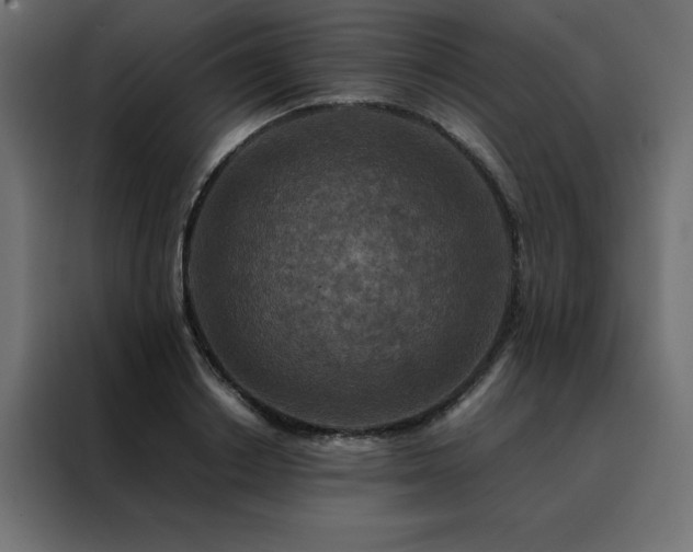 X0000088460842200705221341