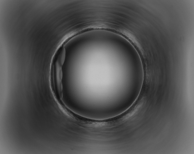 X0000088460845200705221341