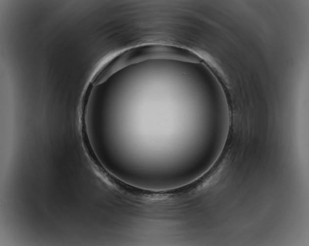 X0000088460846200705221341