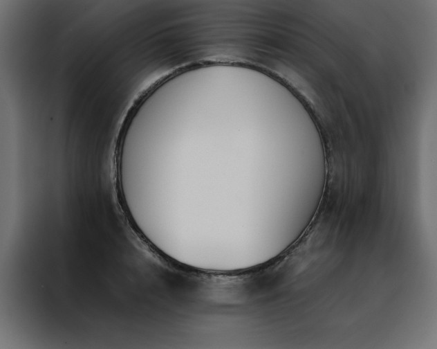 X0000088460848200705221341