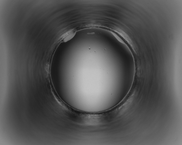 X0000088460849200705221341