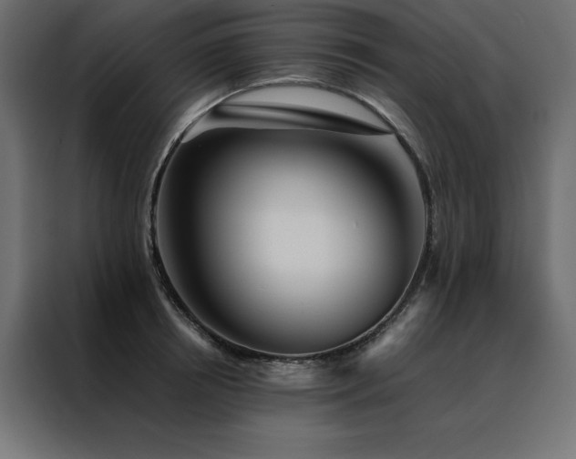 X0000088460850200705221341