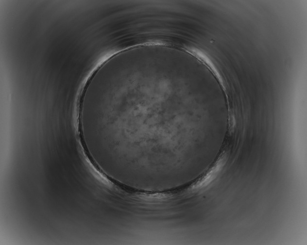X0000088460851200705221341