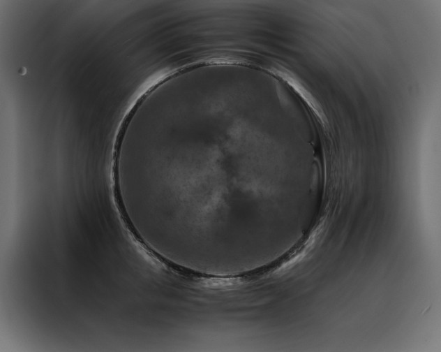 X0000088460853200705221341