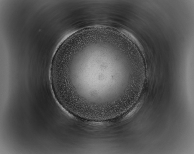 X0000088460855200705221341
