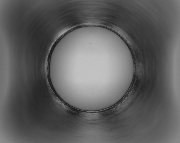 X0000088460856200705221341