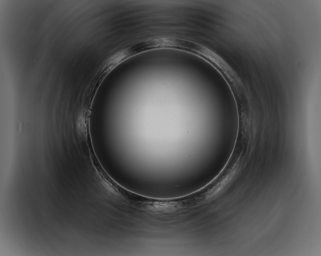X0000088460857200705221341