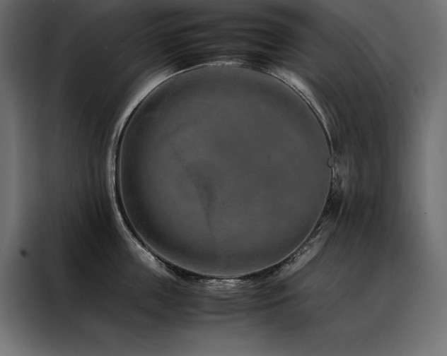 X0000088460859200705221341