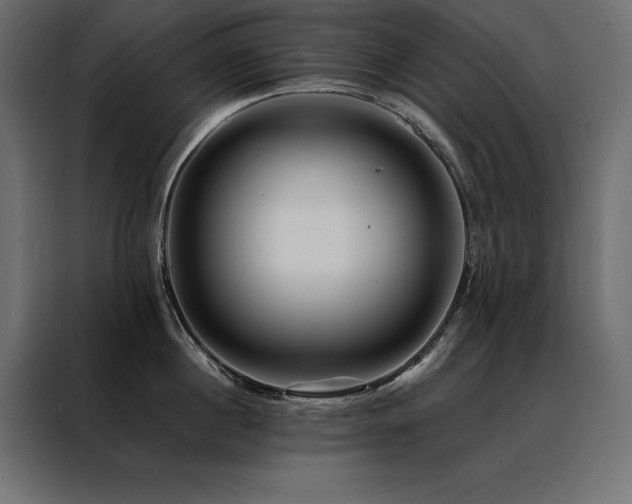X0000088460860200705221341