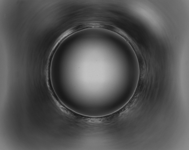 X0000088460861200705221341