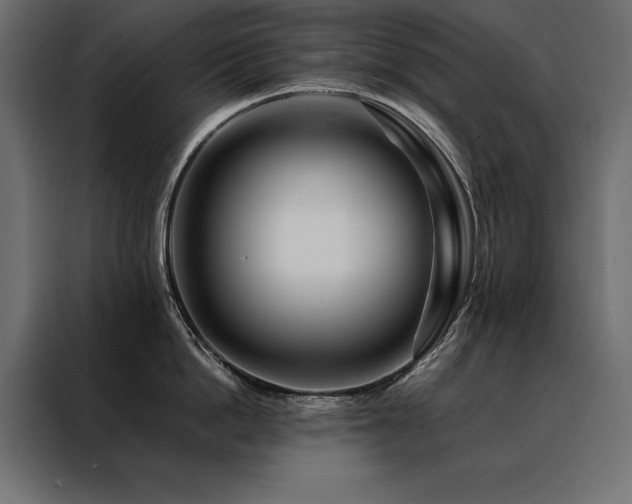 X0000088460862200705221341
