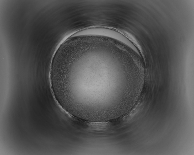 X0000088460863200705221341