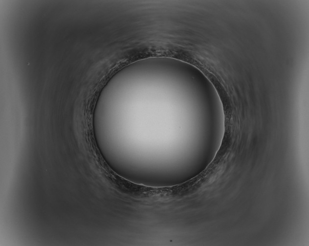 X0000088460865200705221341