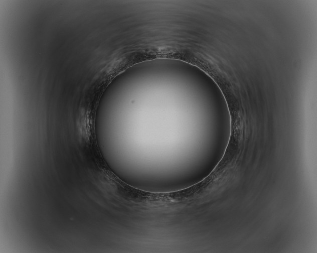 X0000088460866200705221341