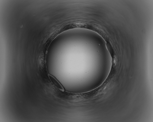 X0000088460867200705221341