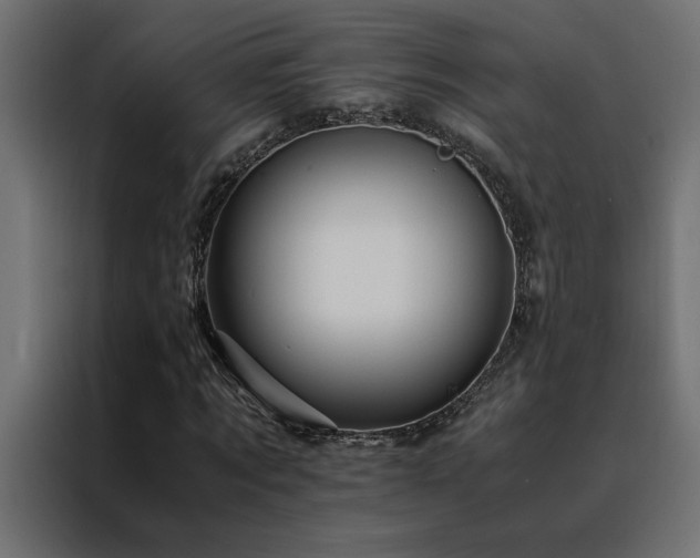 X0000088460869200705221341