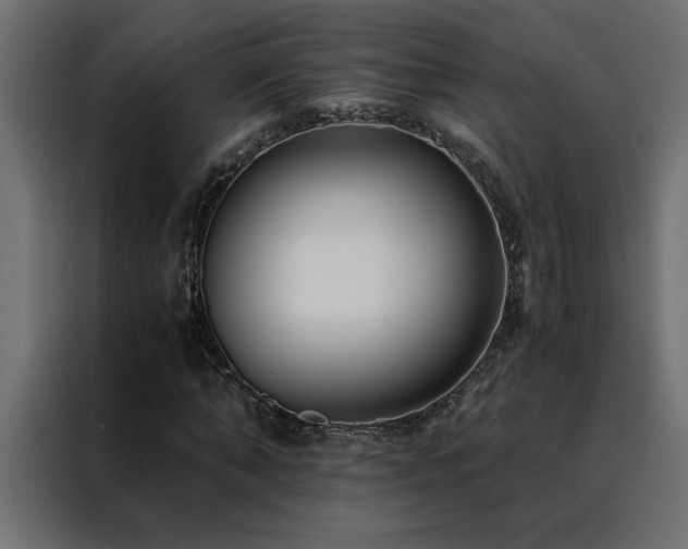 X0000088460870200705221341