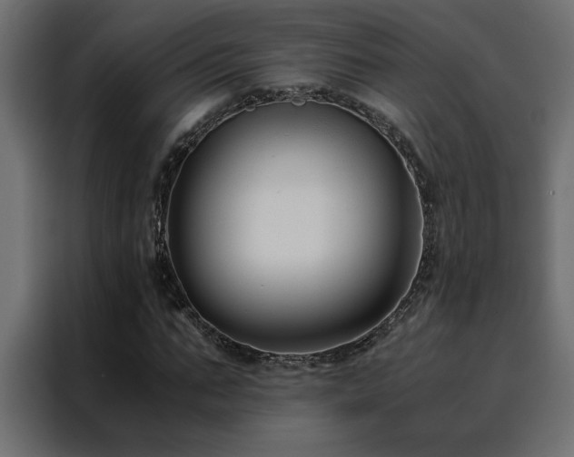 X0000088460871200705221341