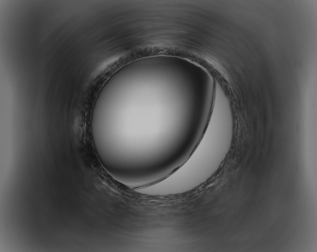 X0000088460872200705221341