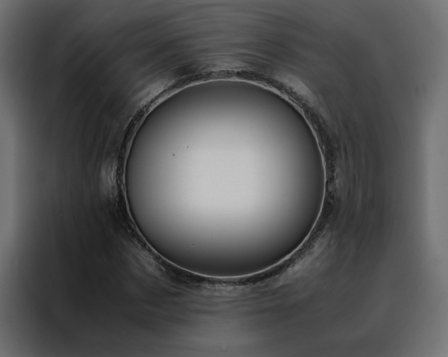 X0000088460873200705221341
