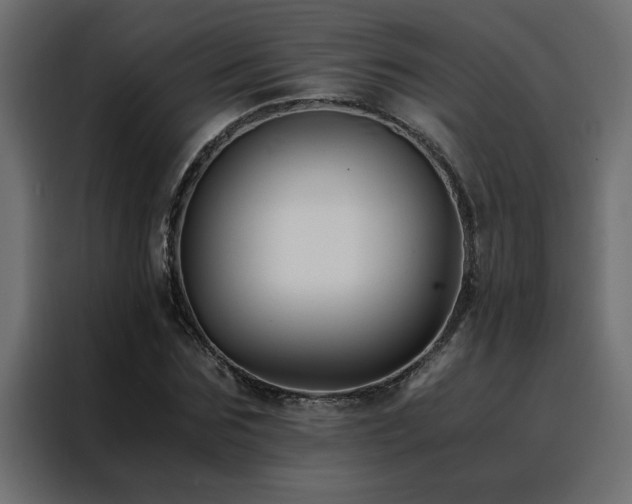 X0000088460875200705221340