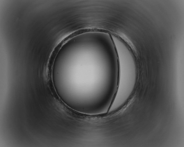 X0000088460876200705221340