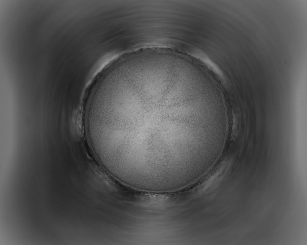 X0000088460878200705221340