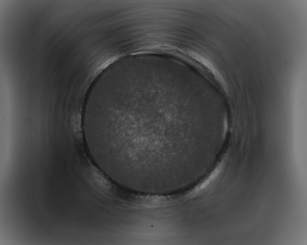 X0000088460881200705221340