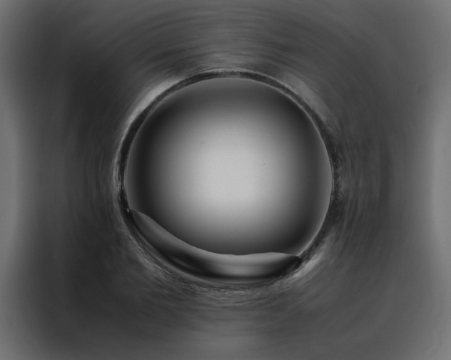X0000088460885200705221340