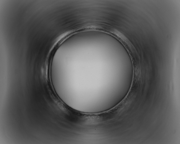 X0000088460886200705221340