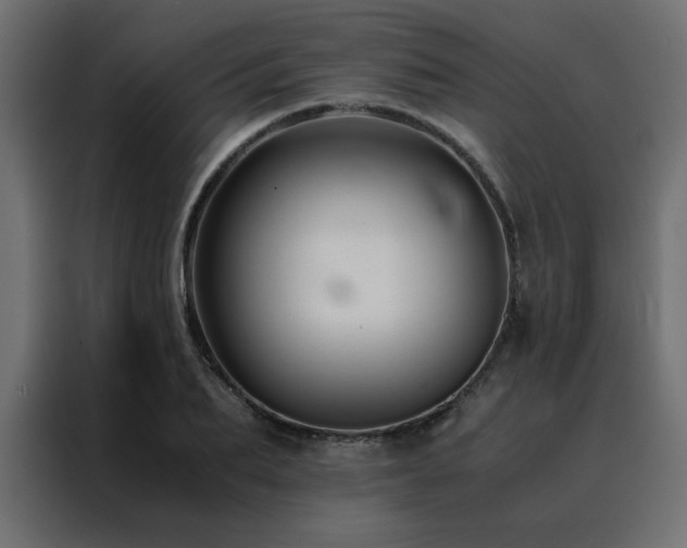 X0000088460887200705221340