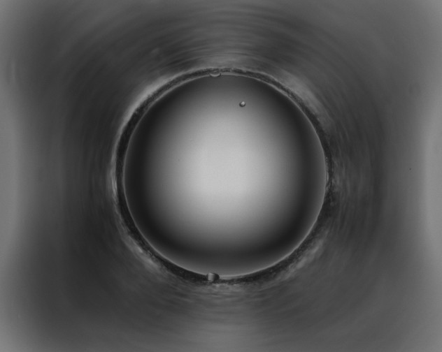 X0000088460888200705221340