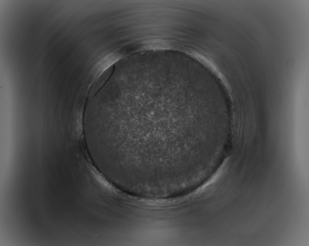 X0000088460889200705221340