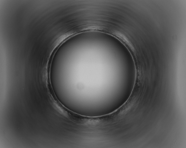 X0000088460890200705221340